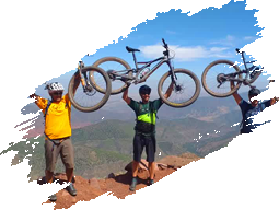 VTT