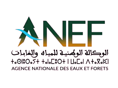 anef-img