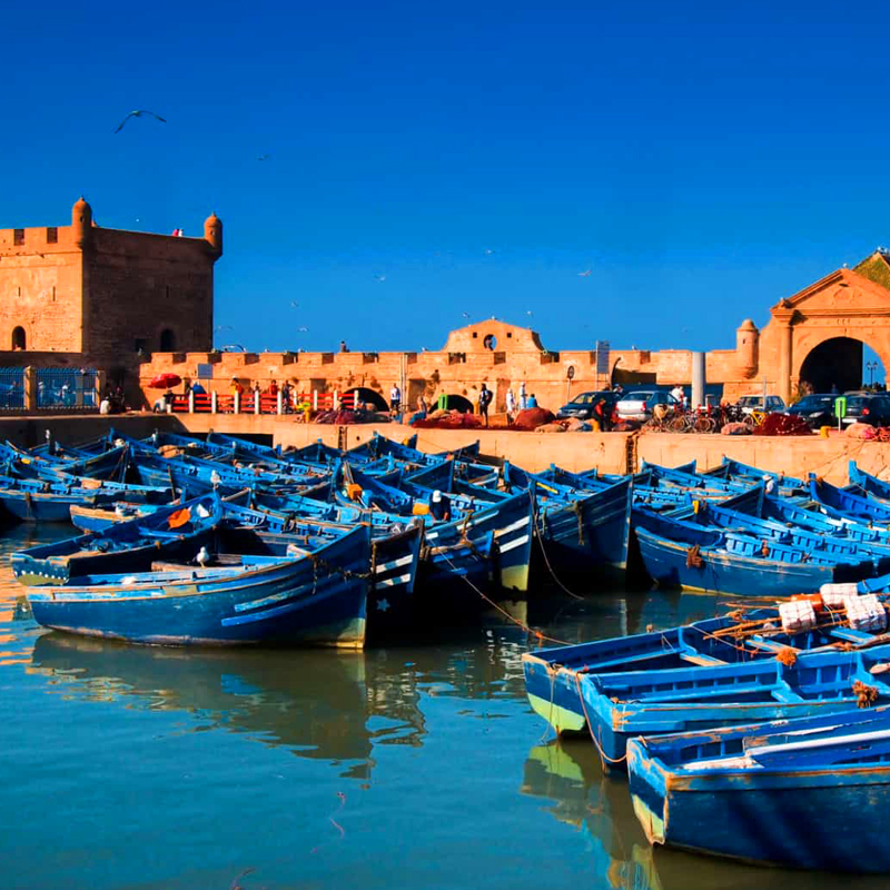 Excursion d'une journée à Essaouira