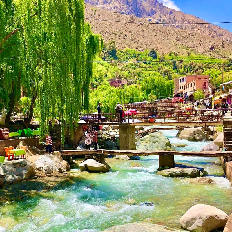 Excursion d'une journée à la vallée d'Ourika