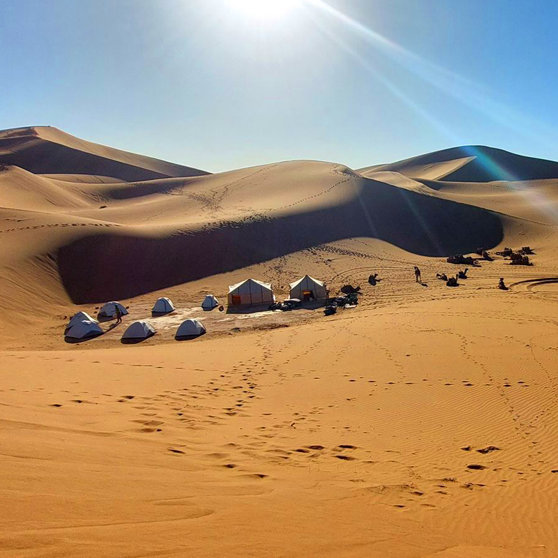 Trekking Chamelière Vallée Du Draa 8 Jours