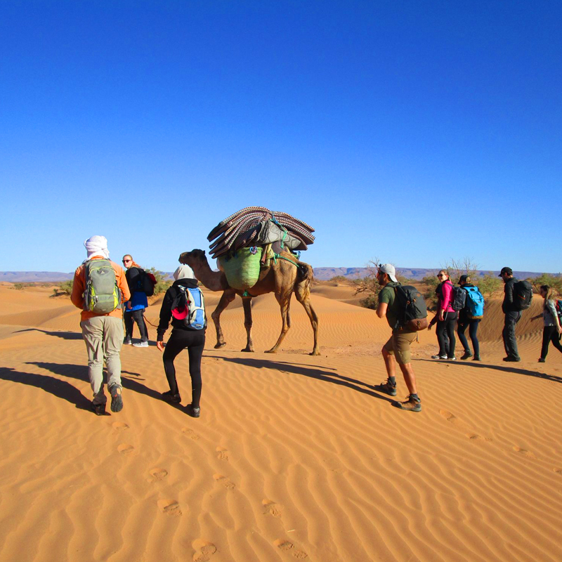 Trekking du Djebel Bani aux Dunes Chegaga 8 Jours