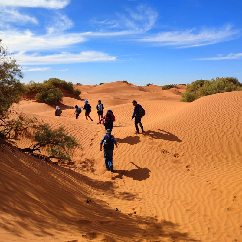 Trekking Dunes Dor De Merzouga Desert 8 Jours